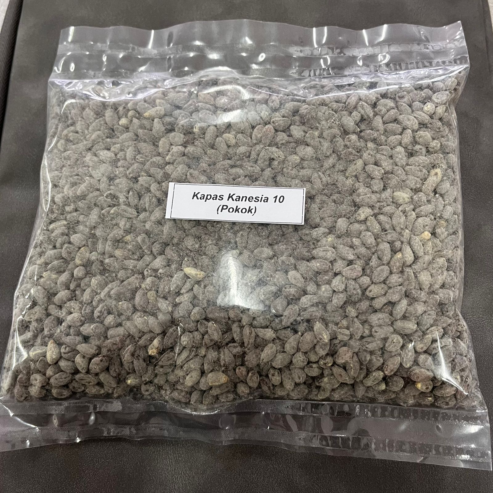 Kapas Kanesia 10 (Pokok)